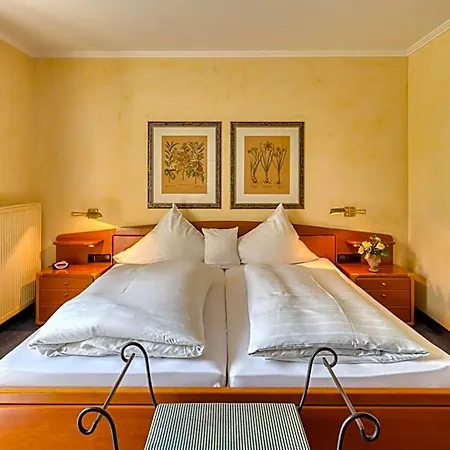 Alt Vellern Hotel 4*